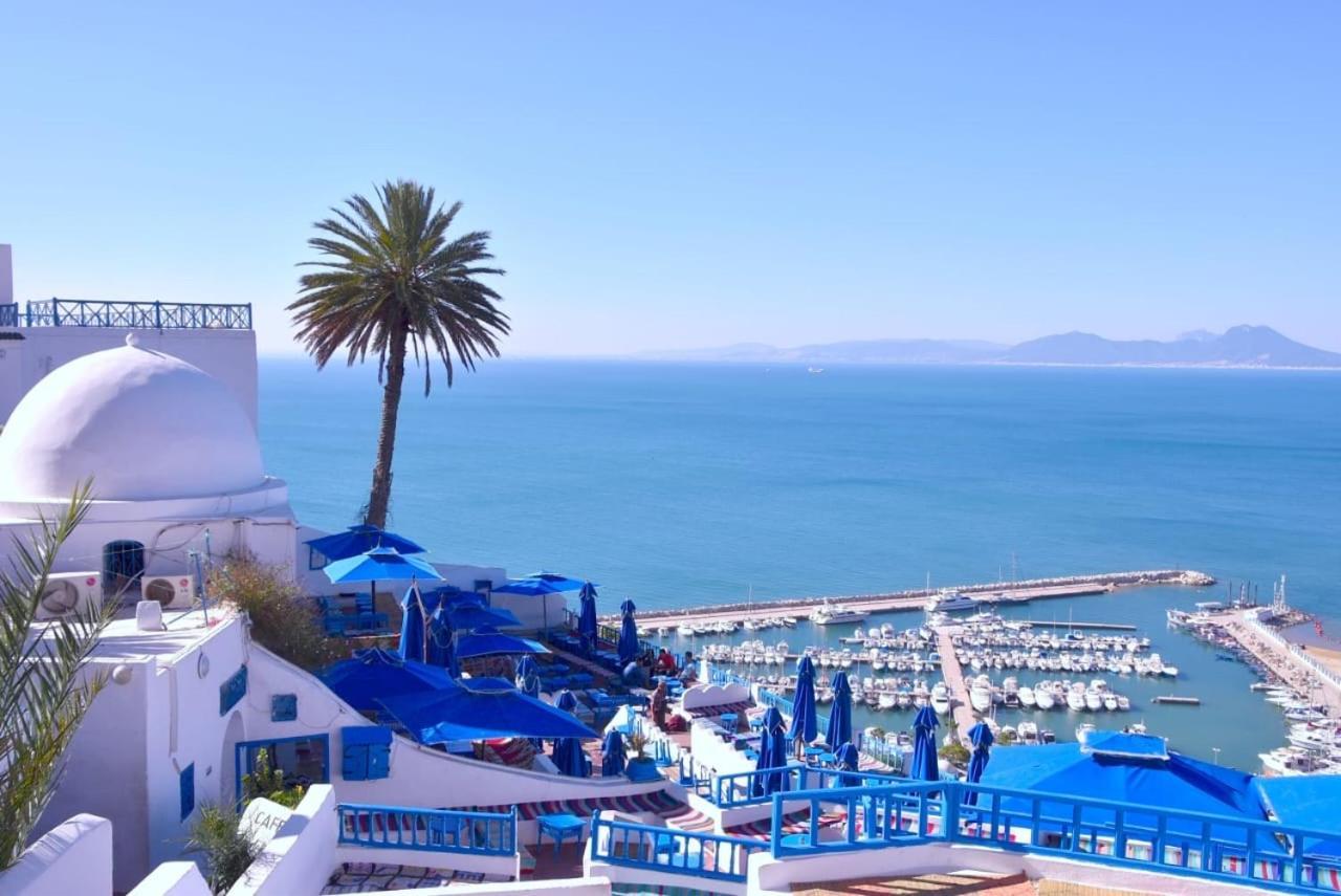 The Blue And White Perle Villa Sidi Bou Said Bagian luar foto