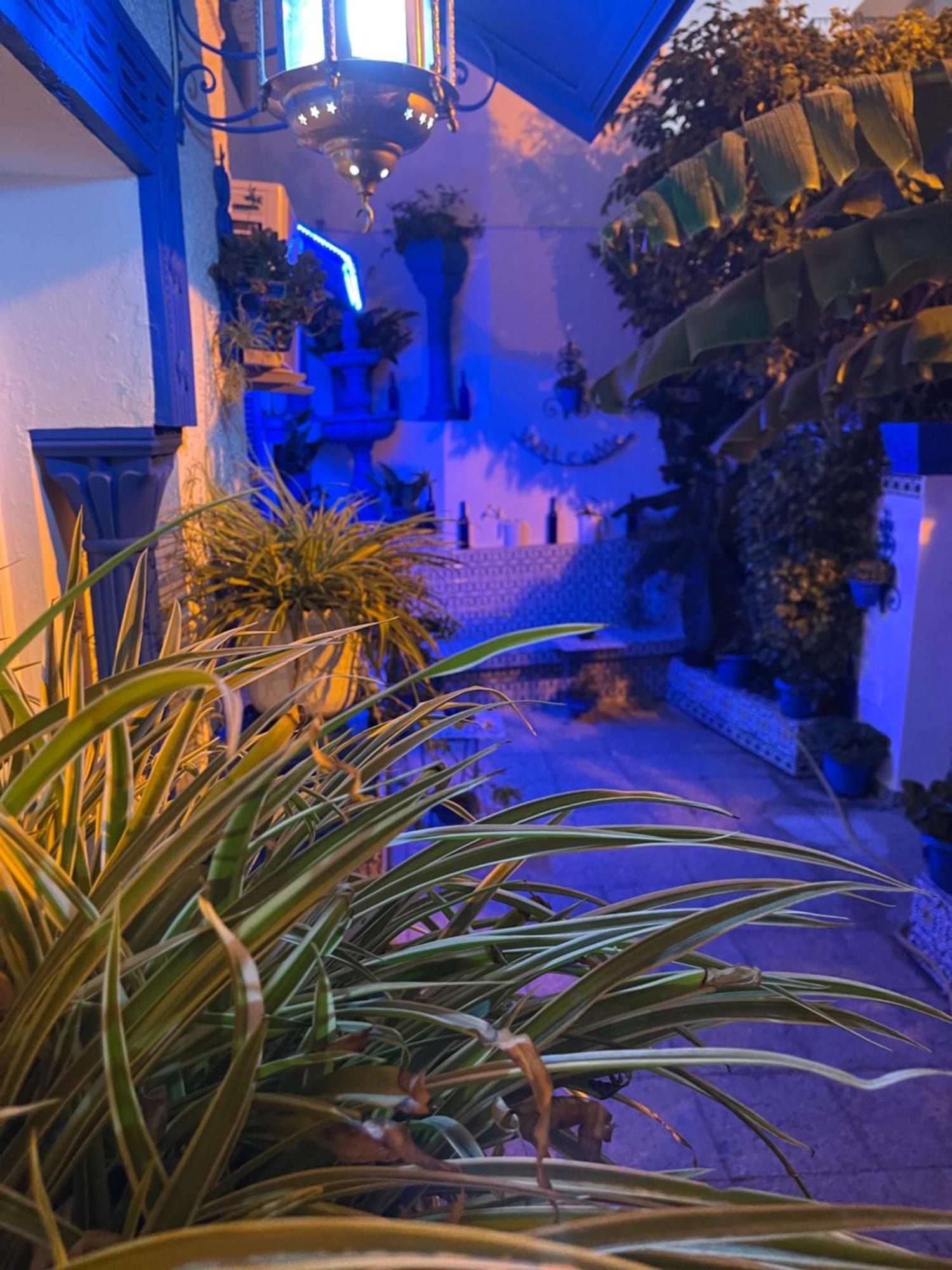 The Blue And White Perle Villa Sidi Bou Said Bagian luar foto