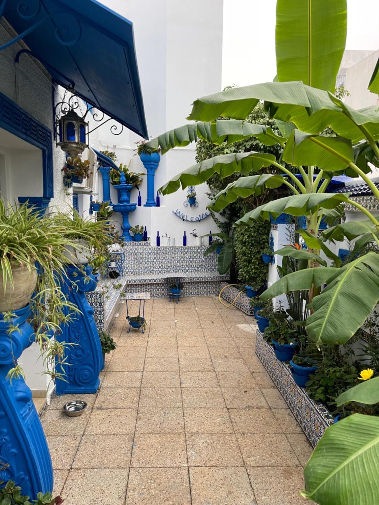 The Blue And White Perle Villa Sidi Bou Said Bagian luar foto