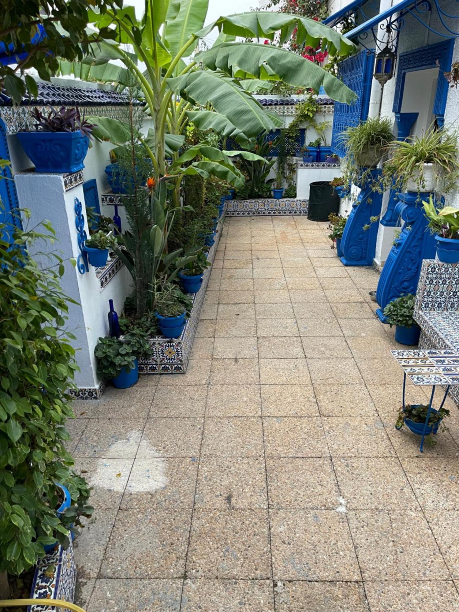 The Blue And White Perle Villa Sidi Bou Said Bagian luar foto