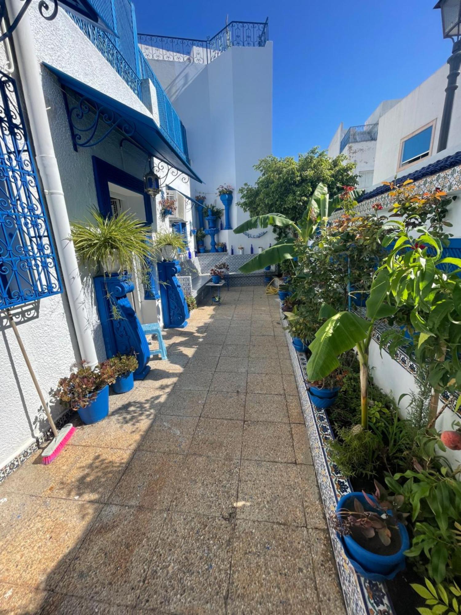The Blue And White Perle Villa Sidi Bou Said Bagian luar foto