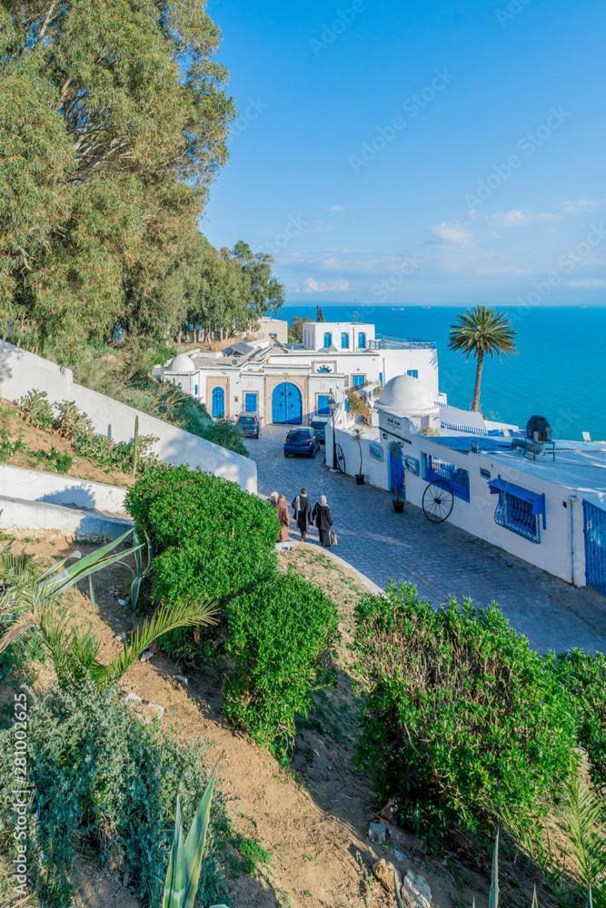 The Blue And White Perle Villa Sidi Bou Said Bagian luar foto