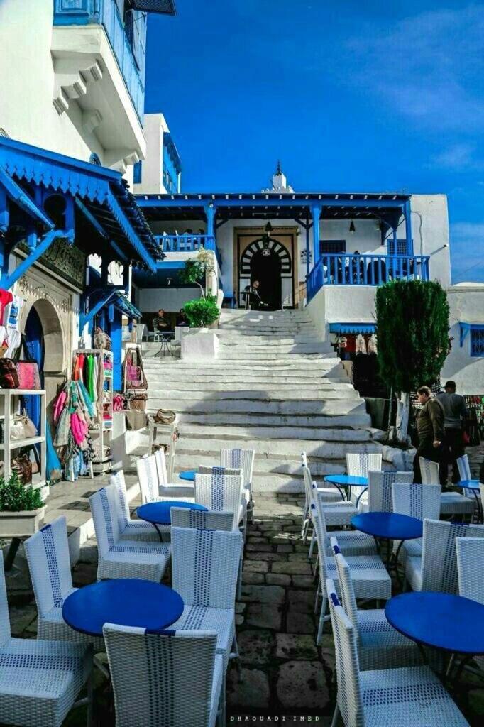 The Blue And White Perle Villa Sidi Bou Said Bagian luar foto