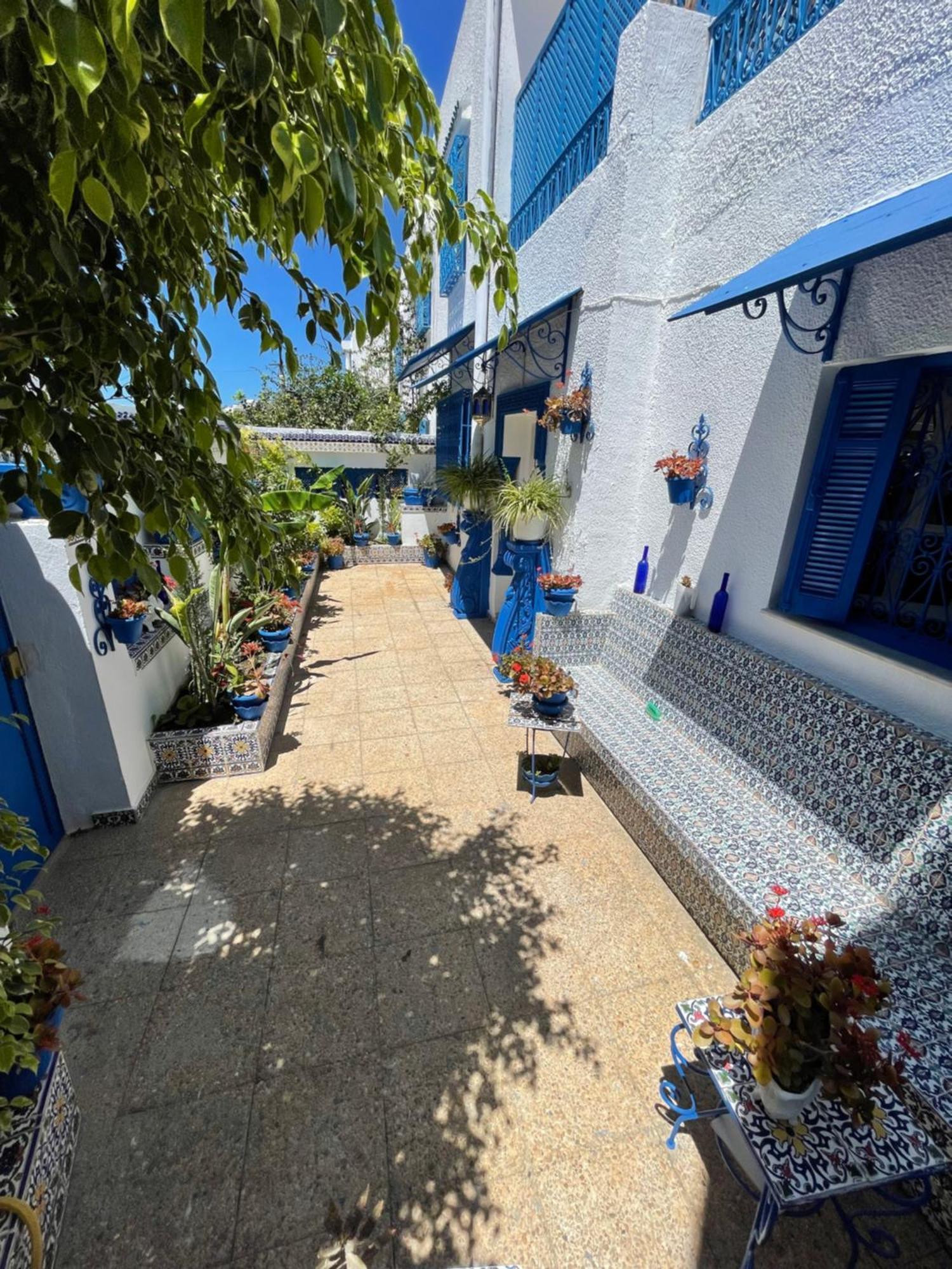 The Blue And White Perle Villa Sidi Bou Said Bagian luar foto
